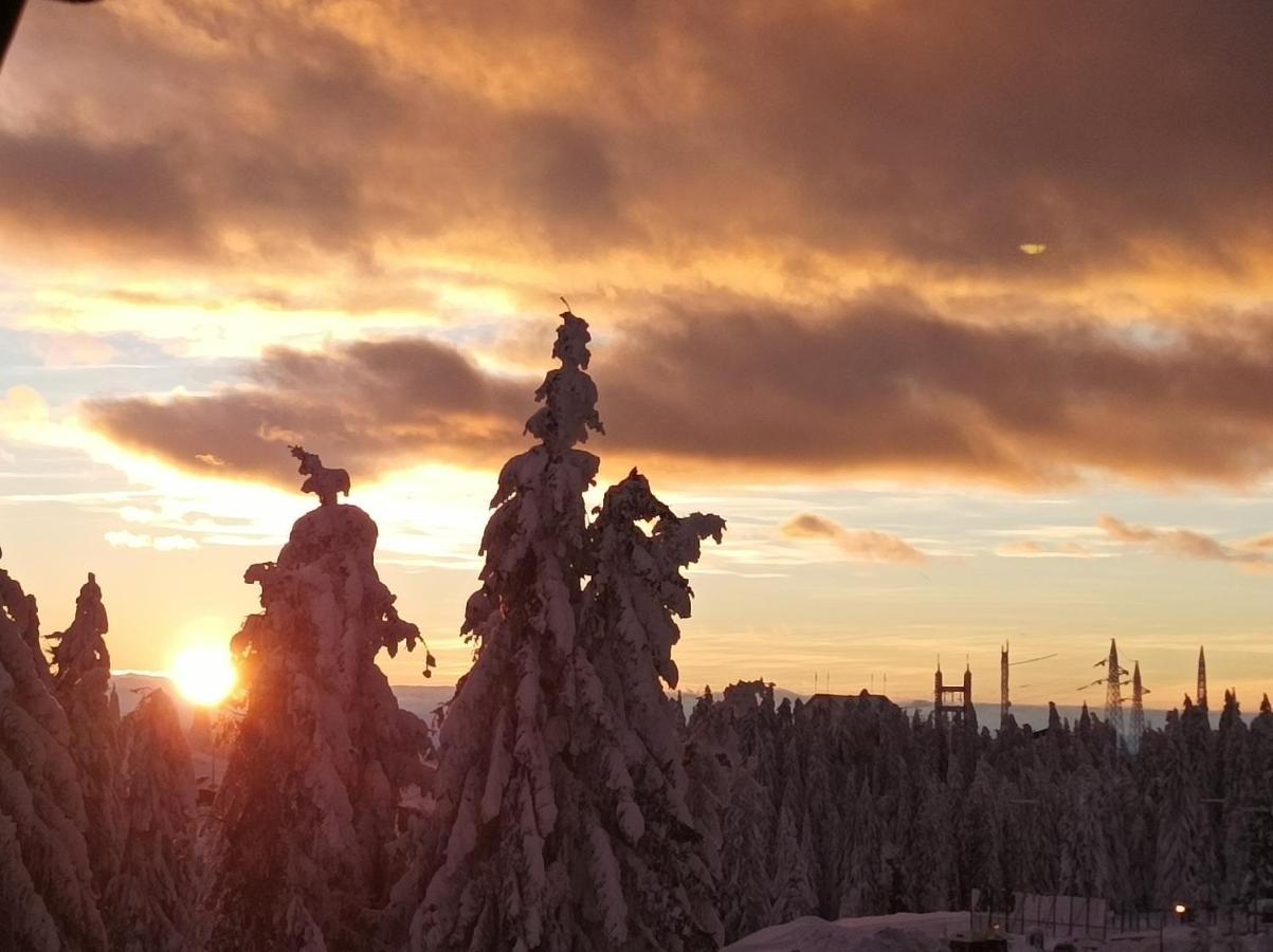 Apartamento Mali Medved Konaci Kopaonik Exterior foto